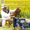 Purelora® BEE VENOM LITHOSPERMUM Pain-Relief Bone Healing Cream