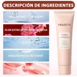 PHANSTA RENEW|2-in-1 EXFOLIATING GEL