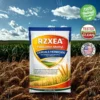 RZXEA™ Halauxifen-methyl Cereals Herbicide 12 RZXEA™ Halauxifen-methyl Cereals Herbicide
