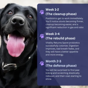 RZXEA™ Pet Pro-Gut Series