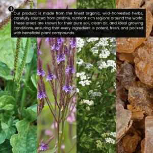 RiseVitals® Alpha Hormone 5 RiseVitals® Alpha Hormone