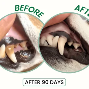 LBMLBM™ Probiotic Enzymatic Dental Spray 8 LBMLBM™ Probiotic Enzymatic Dental Spray